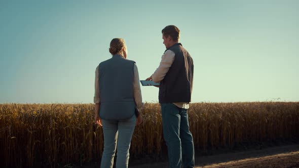 Agronomist Team Discussing Field Works Rear View alt