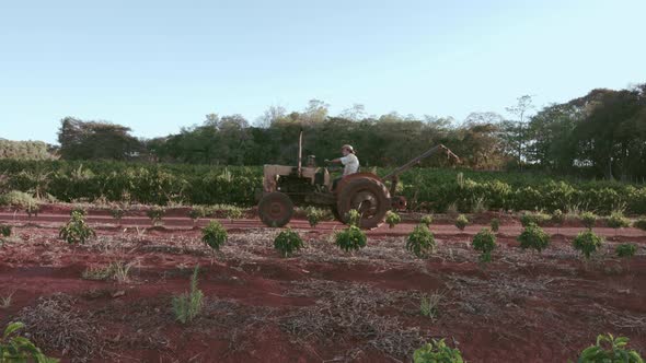 Farmer On a Old Tractor