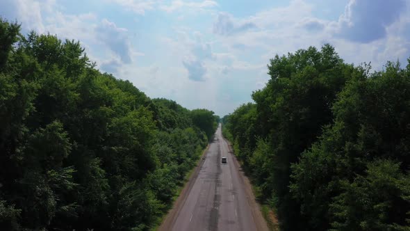 Flying Over The Car Road Among The Trees alt