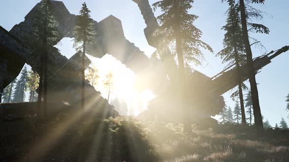 UFO Crashed in the Forest alt