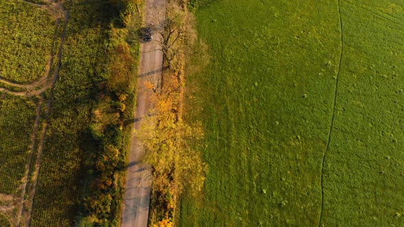 Autumn farm road drive  alt