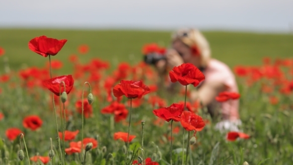 Photographer in Field of Red Poppies 01