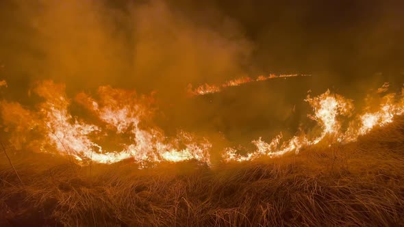 Blazing Fires in a Paddy Field at Night Burning Stubble alt