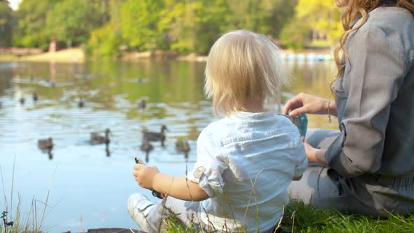 A young mother and her son are feeding the ducks on a lake