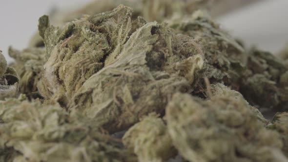 Marijuana. Cannabis. Hemp. Close-up. alt