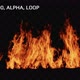 Rw Vfx Fire 9 - 2500x2500, Alpha, Loop - VideoHive Item for Sale