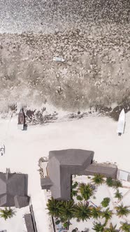 Tanzania  Vertical Video of Low Tide in the Ocean Near the Coast of Zanzibar Slow Motion alt