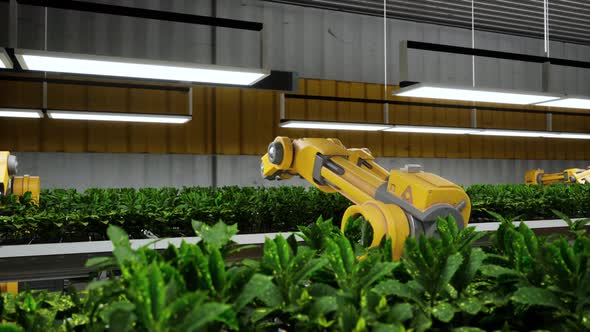 Grow Plants Factory 3D Concept Automated Robot Arm Assembly Line Manufacturing