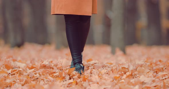 Unrecognizable Woman Feet Walking in Autumn Park Covered with Yellow Leaves alt