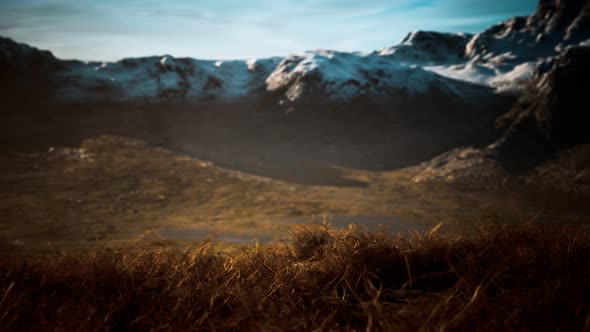 Dry Grass and Snow Covered Mountains in Alaska alt
