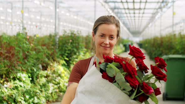 Joyous Female Florist with Roses in Flower Greenhouse alt