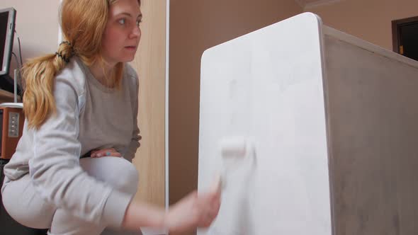 Furniture Restoration Paints alt