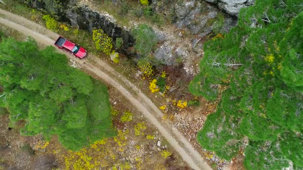 Exploratory Car Driving alt