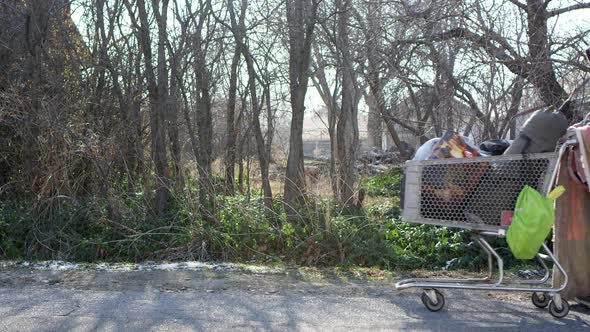 Homeless man pushing cart down the road with dog following him alt