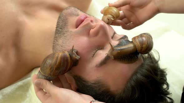 Close Up Man Receiving Snail Massage at Beauty Salon alt