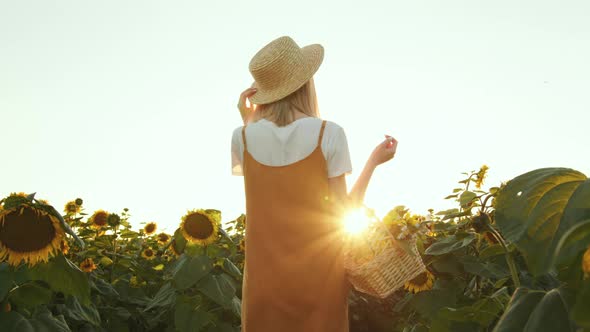 A Woman is Walking Through a Field of Sunflowers with a Basket of Flowers in Her Hands alt