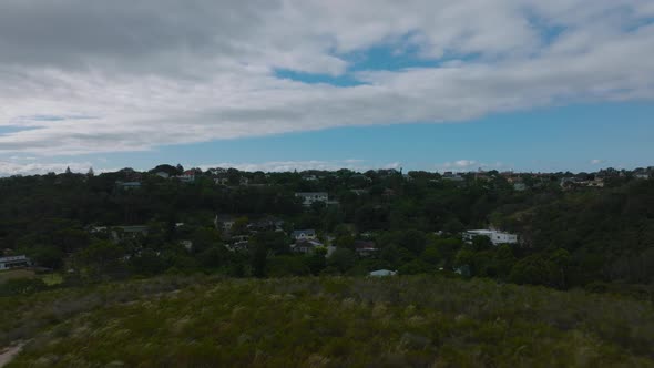 Forwards Fly Above Green Meadow alt