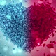 Red and Blue Rose Flower Falling Petals Love Heart Wedding Background Loop HD - VideoHive Item for Sale