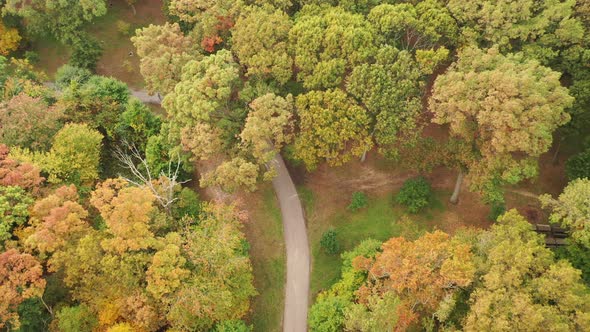 An aerial view of colorful trees in the day. Beneath the trees is a narrow, paved walking path. It i alt