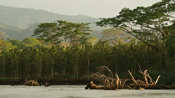 Costa Rica Tarcoles River Landscape, Beautiful Green Scenery while Moving Along and Traveling on a T alt