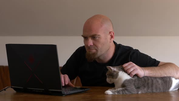 Smart working, covid 19 - young man finish working at computer caressing his cat alt