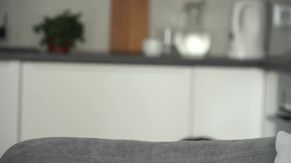 Father Plays with Little Daughter at Home, Jumps From Behind Sofa with Toy, Scare, Scream and Laugh alt