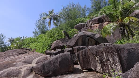 Rock Pool Trail In Seychelles, Natural Landscapes alt