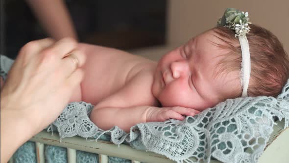 Little Newborn Baby alt