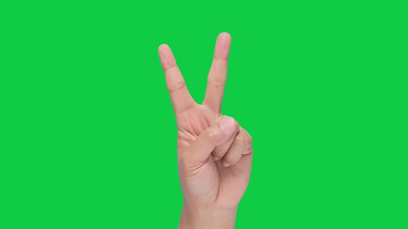 HAND (Green Sceen) hand signal - v sign for victory or peace sign