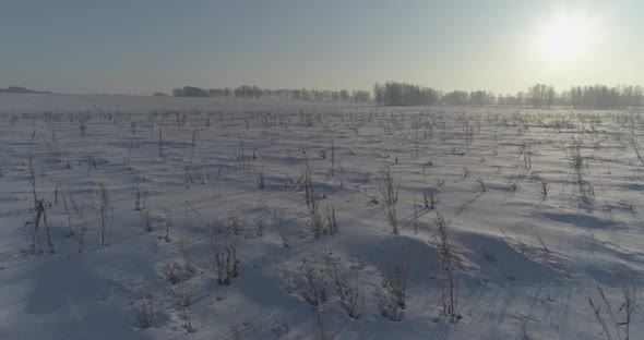 Aerial Drone View of Cold Winter Landscape with Arctic Field Trees Covered with Frost Snow and alt