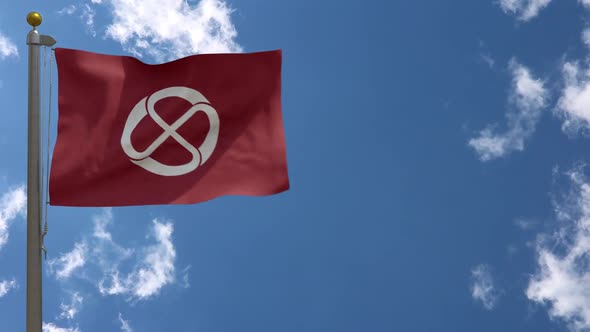 Iida City Flag Japan On Flagpole alt