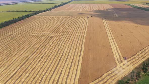 Aerial View Of The Collection Of The Wheat Harvest.