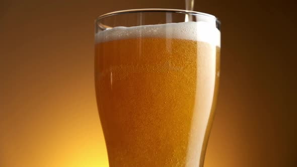 Beer is Pouring Into Glass on Golden Background