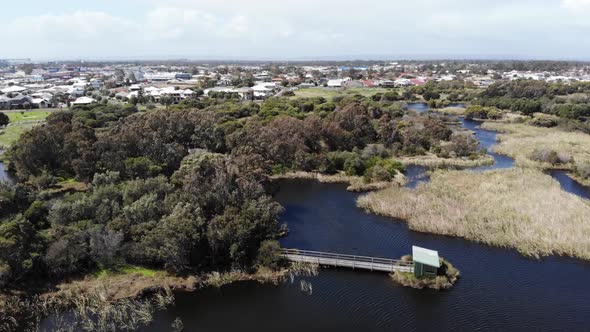 Aerial View of a Swamp