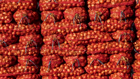 Sacks of golden onions. Wholesale of onions.