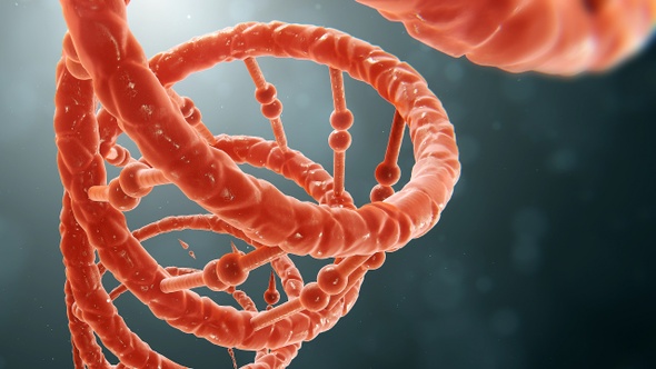 DNA Growth 02 Shot 03 alt