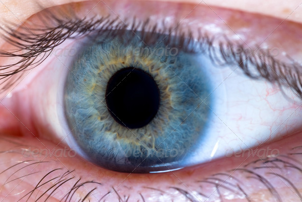 Eye and contact lens - Stock Photo - Images