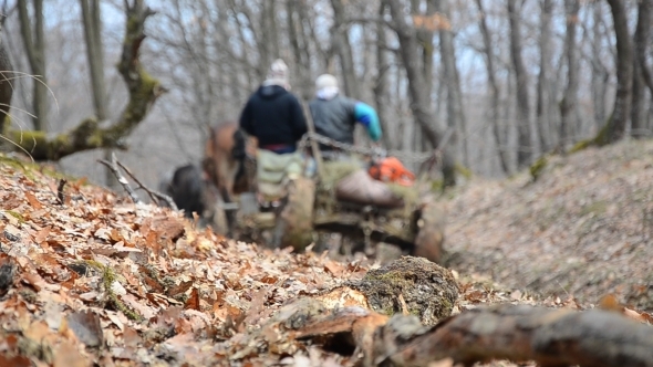 Carts With Horses on Mountain Road 02