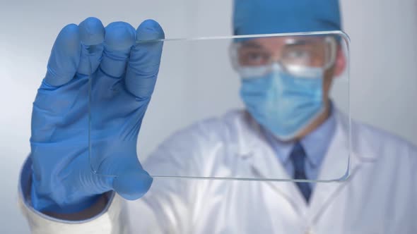 Scientist Looking Medical  Glass Plate 
