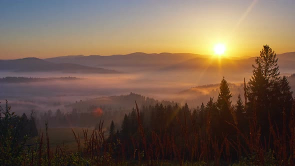 Beautiful sunrise over wild forest mountains in morning . nature Time lapse by Roman_Shyshak