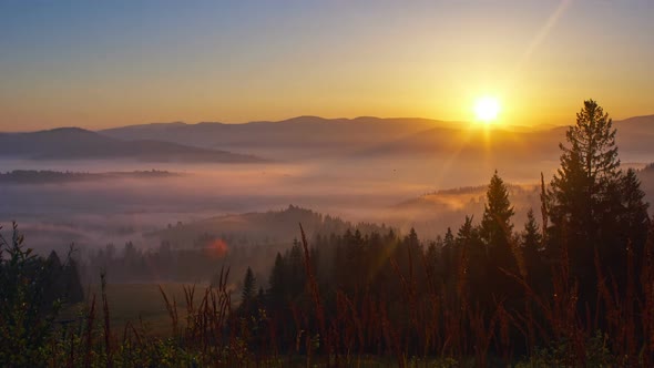 Beautiful sunrise over wild forest mountains in summer morning . nature Time lapse