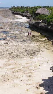 Tanzania  Vertical Video of the Ocean Near the Coast of Zanzibar Slow Motion alt