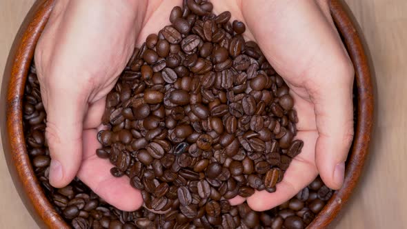 Top down shot of hands grabbing fresh coffee beans and dropping down.Slow motion. alt