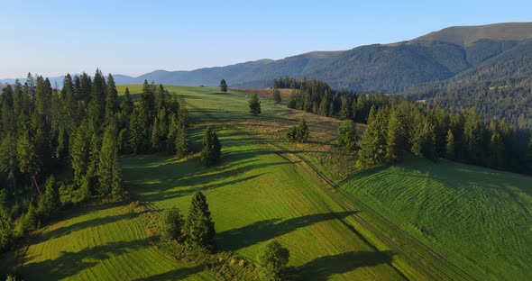 Trails Leading To The Mountains. Carpathians.