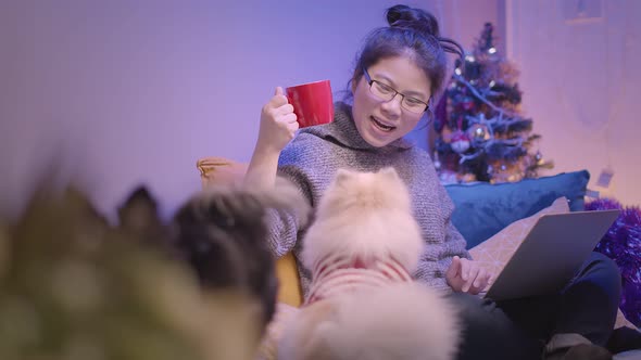 working at home asian female woman working with hand use laptop while cuddle play with lap dog alt