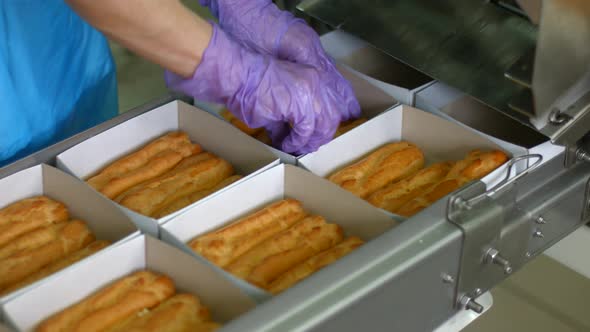 Eclair Boxes Moving on Conveyor alt