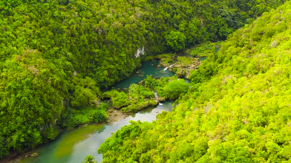 Loboc River in the Jungle alt