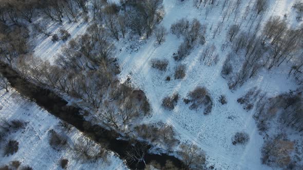 Flight in the winter park. Trees and river are visible. Aerial photography of the park.