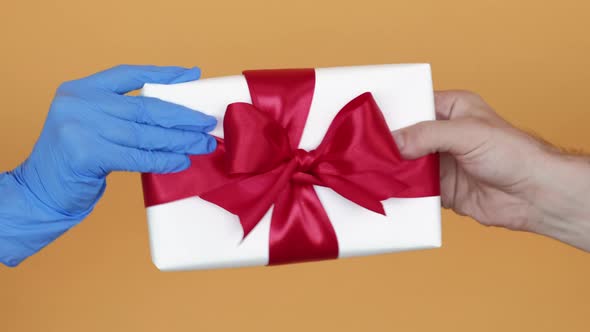 Holiday Gift Christmas Covid-19 Safety Delivery alt