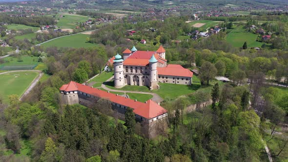 Aerial view of catle in Wisnicz, Poland